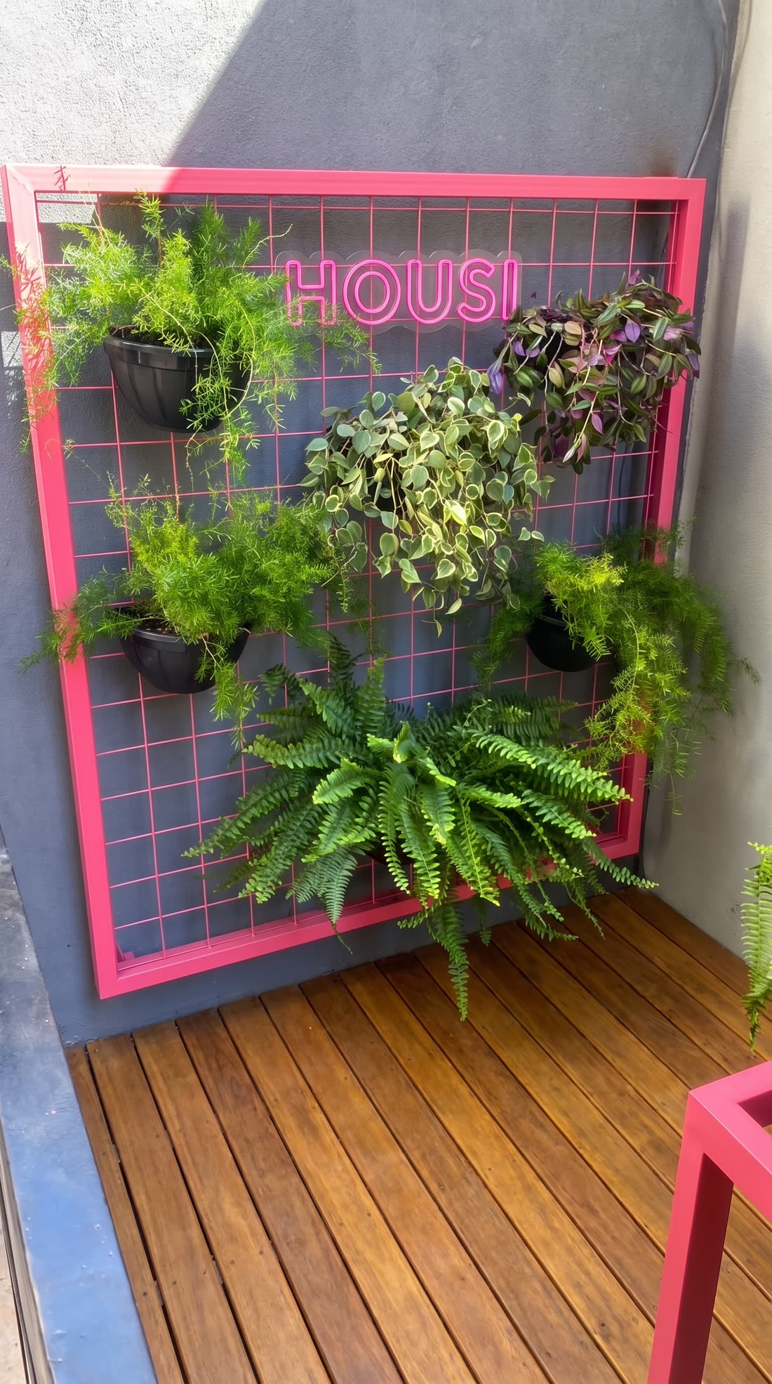 Jardim vertical com samambaias e plantas tropicais em stand de vendas