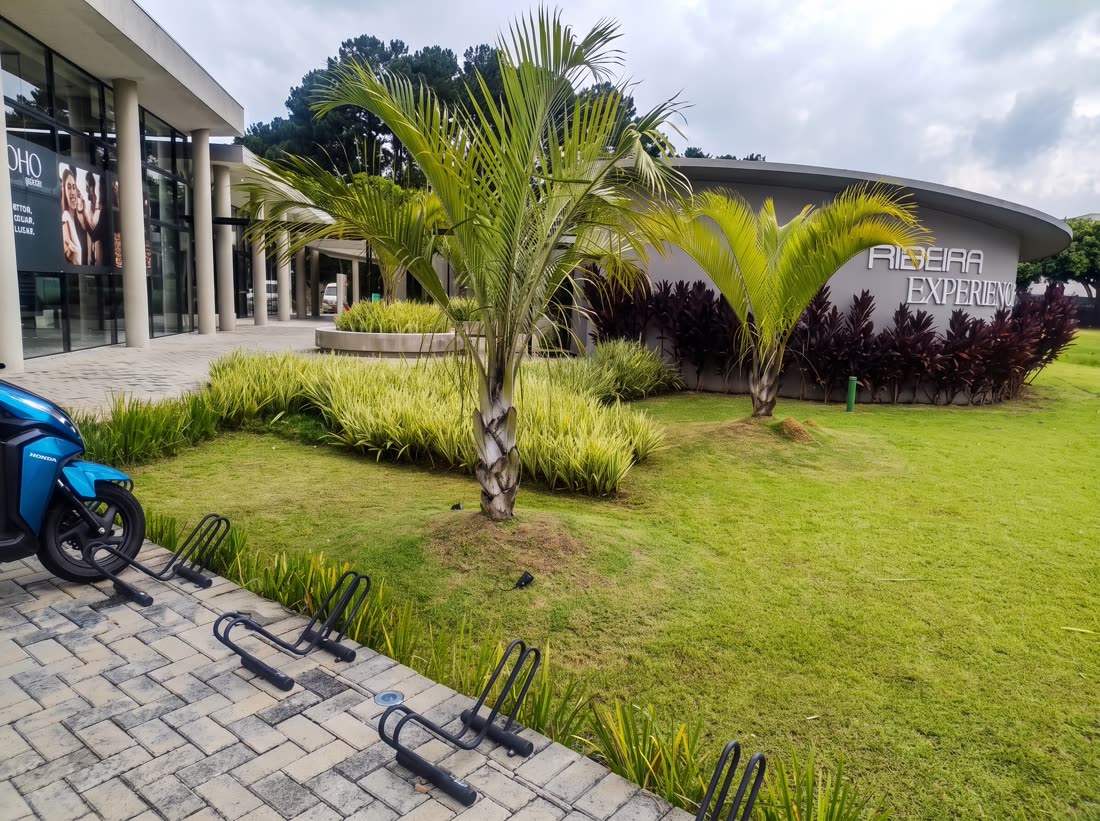 Paisagismo de fachada externa com palmeiras em empreendimento imobiliário