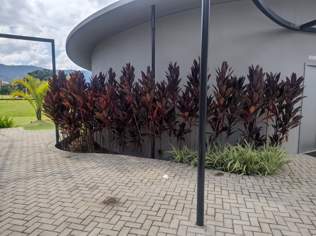 Paisagismo com folhagens ornamentais na fachada de empreendimento