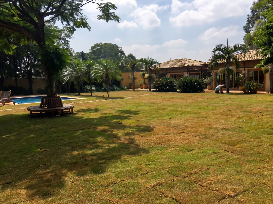 Paisagismo residencial com piscina, gramado e palmeiras