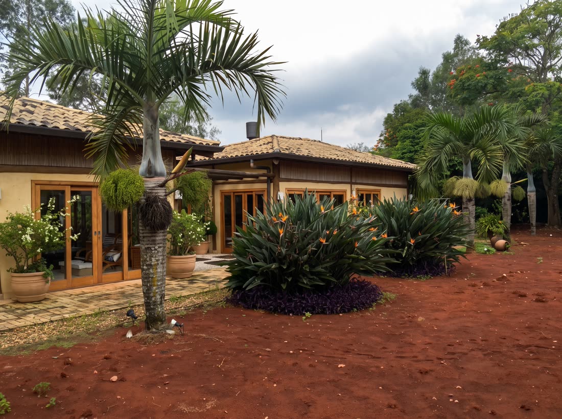 Jardim residencial com palmeiras, bromélias e canteiro em terra vermelha