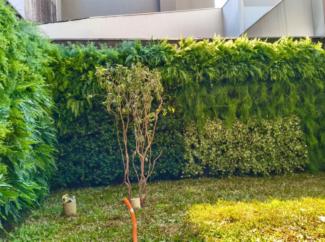 Jardim vertical em muro de área residencial