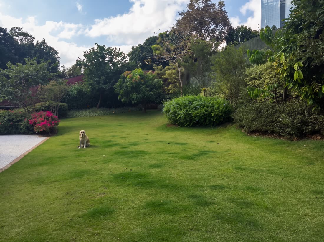 Jardim residencial com gramado, arbustos floridos e área de estar