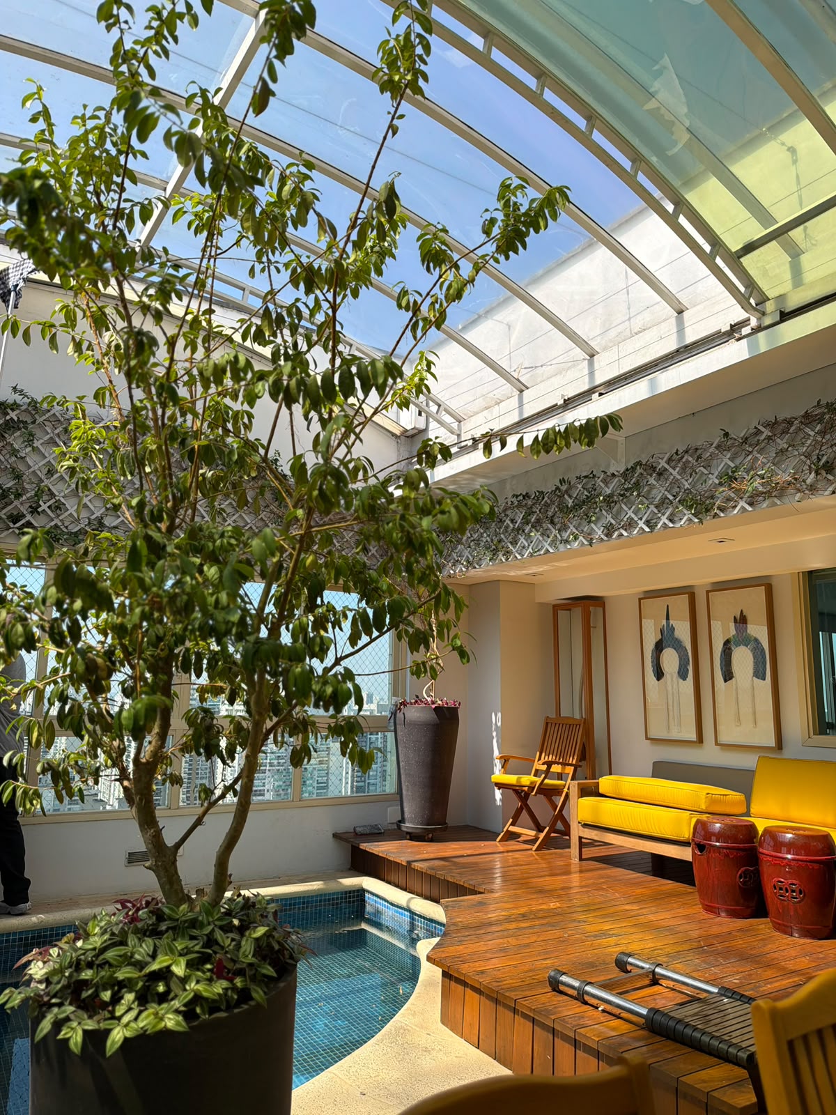 Cobertura com piscina, deck de madeira e árvore em vaso sob teto de vidro