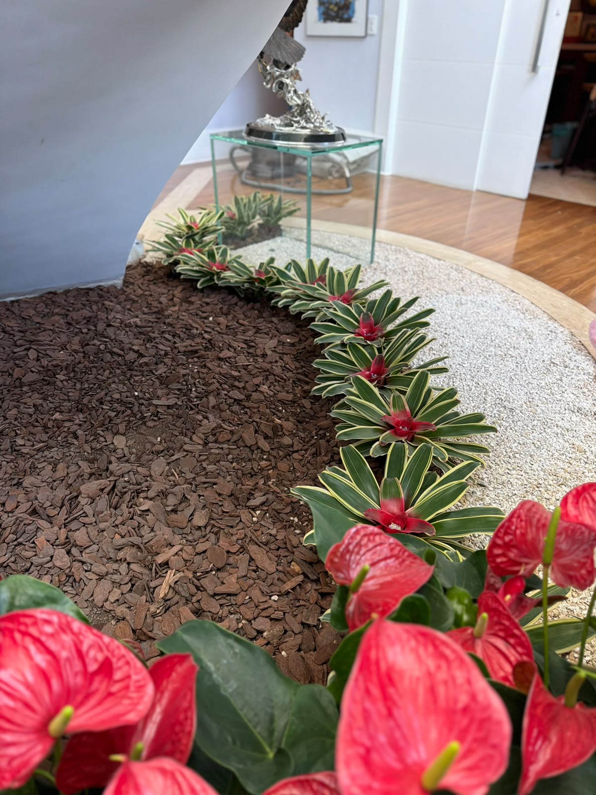Canteiro sob escada com bromélias variegadas, casca de pinus, seixos e antúrios
