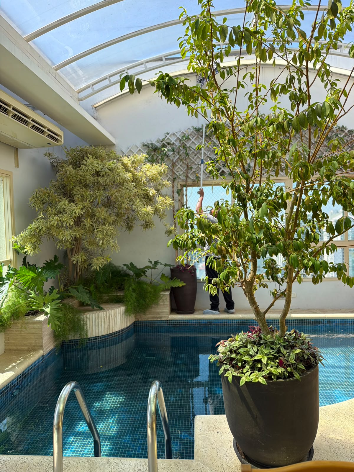 Piscina coberta com vasos, árvores ornamentais e jardineiras de folhagens